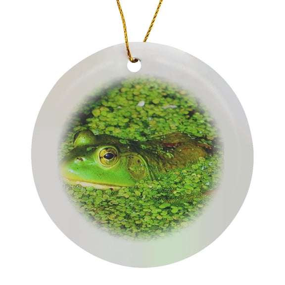 3drose, Green Frog Hiding in Green Pond, Circle Porcelain Ornament
