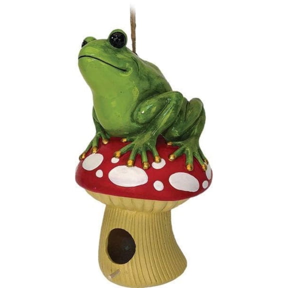 Green Frog on a Mushroom Birdhouse