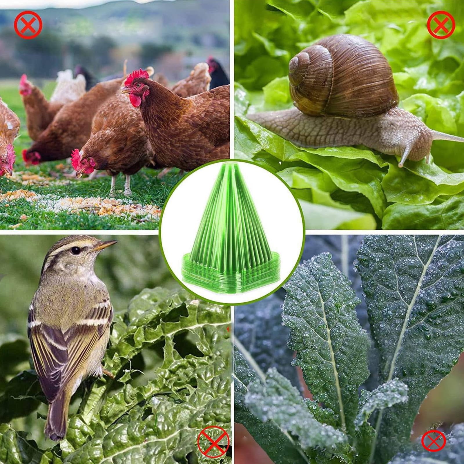 Green Garden Cloches for Outdoor Reusable Cover Covers To From Birds