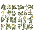 thumbnail image 1 of Green Garden Plant Aesthetic Sticker Pre-cut Cute Diary Travel Paper Journal Stickers Scrapbooking Stationery Sticker Flakes Art Supplies, 1 of 1