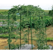 Green Garden Plant Netting, Heavy-Duty Nylon Garden Plant Trellis, Netting Elastic Plant Support Vine Net, Climbing Garden Trellis Net for Protect Vegetable Plants, Fruits, Flowers