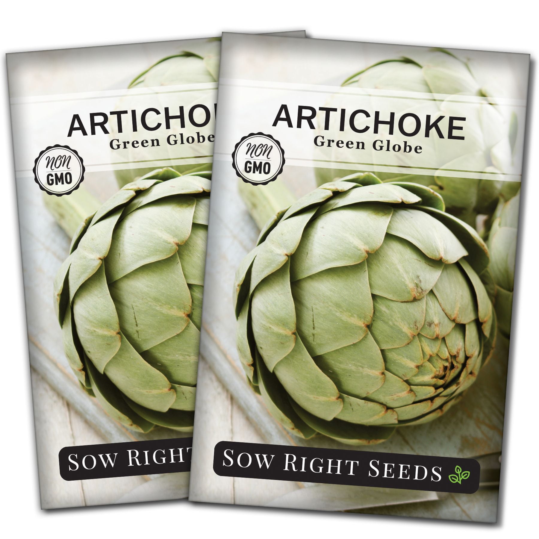 Green Globe Artichoke Seeds Non GMO Heirloom Varieties for your Home