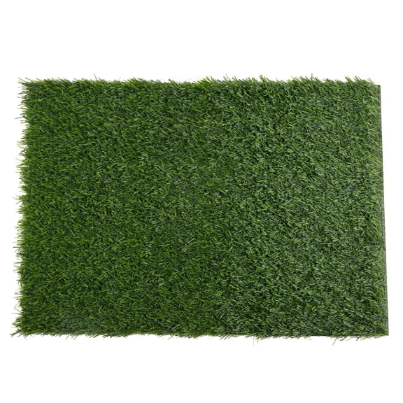 Green Grass Placemat by Celebrate It 14" x 20" Plastic Mats for Spring & Summer Decor - Reusable Table Setting - Party & Picnic Use - 12 Pack