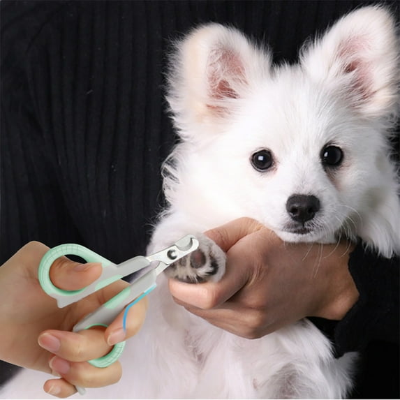 Green,Gray Compact Pet Nail Clippers For Cats And Small Dogs Curved Safety Blade Mini Grooming Tool Rounded Tip Lightweight Design Green Yellow Blue Pink Gray