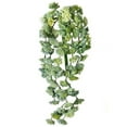 thumbnail image 1 of Green Hanging Sedum Succulent Faux Plants & Trees, 1 of 1