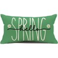 thumbnail image 1 of Green Hello Spring Decorations Pillow Cover, 12 x 20 Inch Spring Saying Farmhouse Cushion Case for Sofa Couch(Green,12''''x20''''), 1 of 6