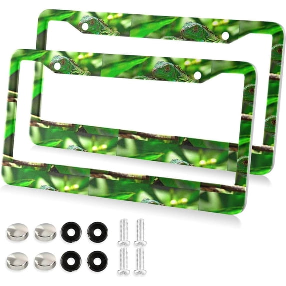 Green Iguana License Plate Frame, Decorative Aluminum Car Tag Frames, 2 Pack Universal Car License Plate Covers with 2 Holes and Screws