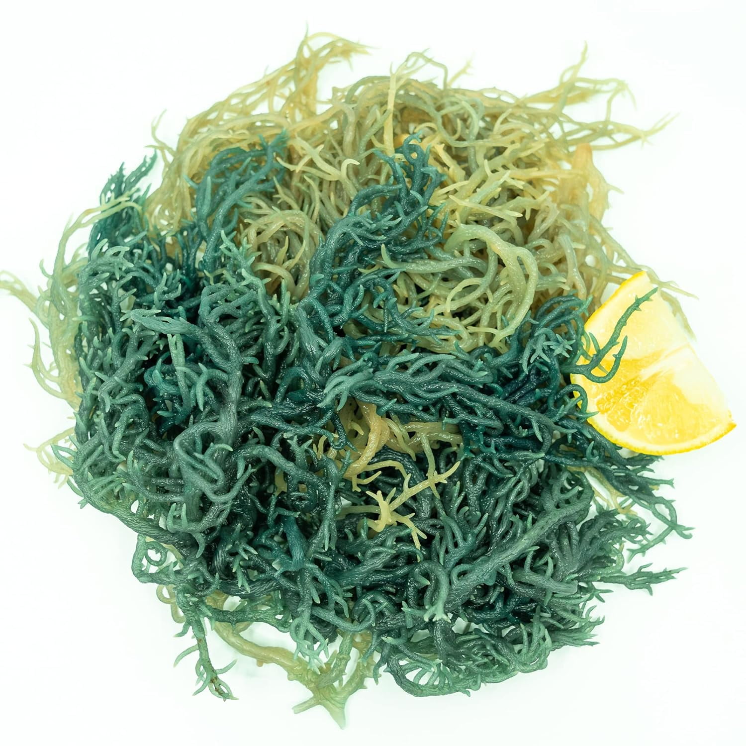 Green Irish Sea Moss From St Lucia Pound Wildcrafted Sea Moss