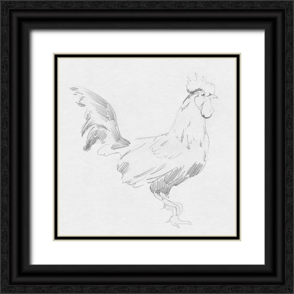 Green, Jacob 12x12 Black Ornate Wood Framed with Double Matting Museum Art Print Titled - Big Rooster Sketch I