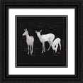 thumbnail image 1 of Green, Jacob 12x12 Black Ornate Wood Framed with Double Matting Museum Art Print Titled - Sophisticated Whitetail II, 1 of 4