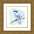 thumbnail image 1 of Green, Jacob 12x12 Gold Ornate Wood Framed with Double Matting Museum Art Print Titled - Coastal Blue Jay II, 1 of 4