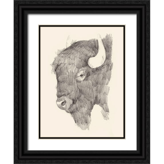 Green, Jacob 12x14 Black Ornate Wood Framed with Double Matting Museum Art Print Titled - Buffalo Sketch II