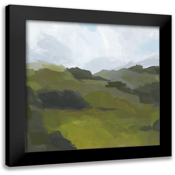 Green, Jacob 20x20 Black Modern Framed Museum Art Print Titled - Powell Valley II