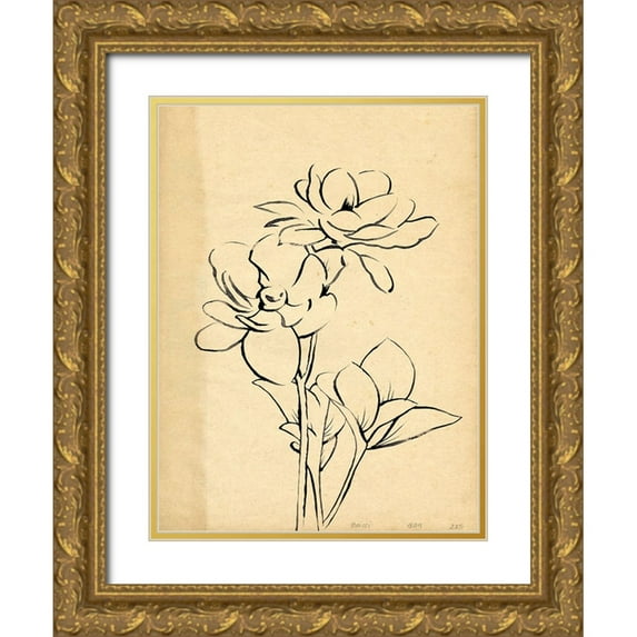 Green, Jacob 25x32 Gold Ornate Wood Framed with Double Matting Museum Art Print Titled - Magnolia Sketch II