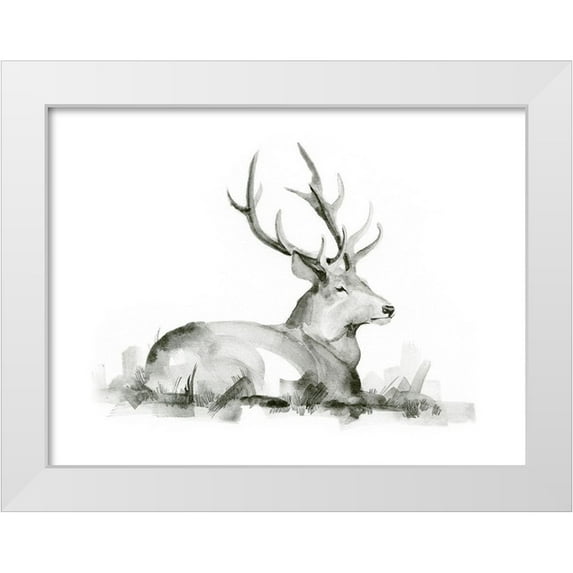 Green, Jacob 32x25 White Modern Wood Framed Museum Art Print Titled - Recumbent Stag I