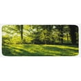 thumbnail image 1 of Green Kitchen Mat, Forest Landscape at Sunrise Beams Trees Grass Field Rural Scenery Nature Peaceful Photo, Plush Decorative Kitchen Mat with Non Slip Backing, 47" X 19", Green, by Ambesonne, 1 of 1