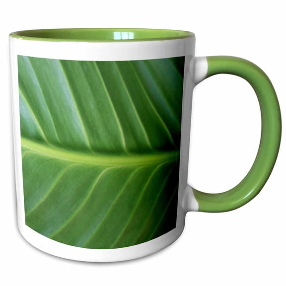 3drose, Green Leaf Macro Photography - Organic Close-up - Fresh - Natural - Leafy Nature - Photo Print, 11oz Two-tone Green Mug