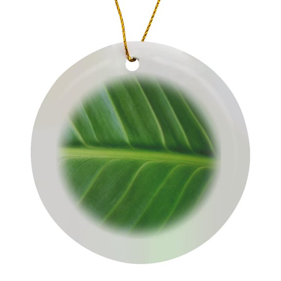 3drose, Green Leaf Macro Photography - Organic Close-up - Fresh - Natural - Leafy Nature - Photo Print, Circle Porcelain Ornament