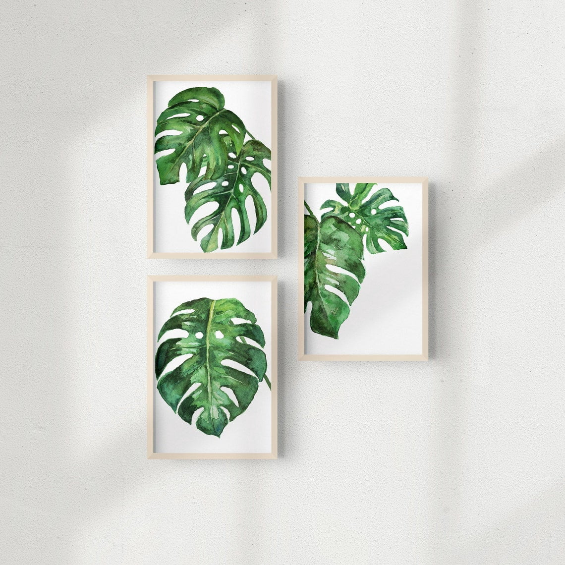 green-leaf-wall-art-prints-cheese-plant-botanical-monstera-greenery