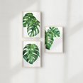 green-leaf-wall-art-prints-cheese-plant-botanical-monstera-greenery