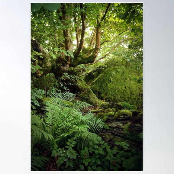 Green Leaves And Moss Poster Wall Art, Modern Wall Decor For Living Room Bedroom, 12x18 UNFRAMED