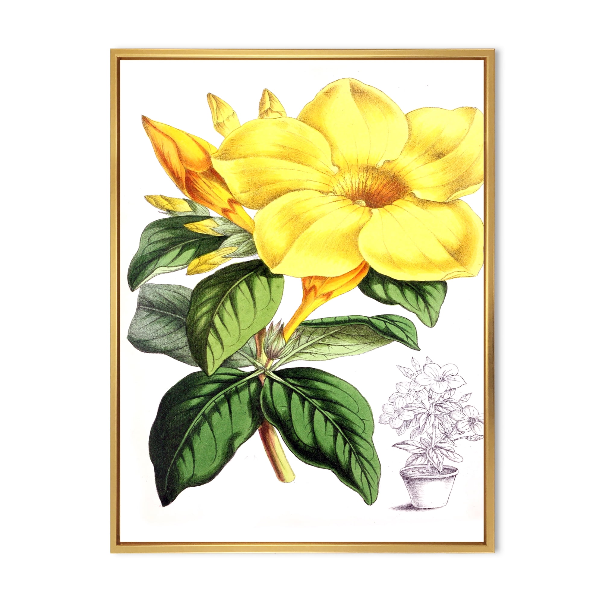 Green Leaves With Tropical Yellow Flowers II 24 in x 32 in Framed Painting Canvas Art Print, by Designart