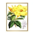 thumbnail image 1 of Green Leaves With Tropical Yellow Flowers II 24 in x 32 in Framed Painting Canvas Art Print, by Designart, 1 of 5