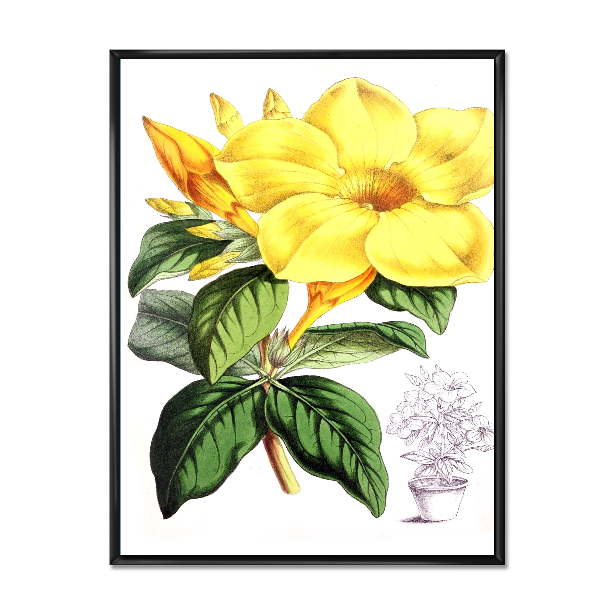 Green Leaves With Tropical Yellow Flowers II 30 in x 40 in Framed Painting Canvas Art Print, by Designart