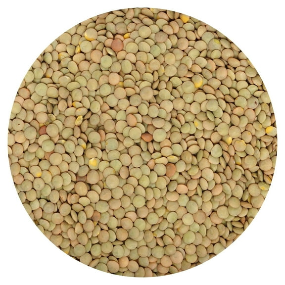 Green Lentils, 2.5 Pound Bulk Bag