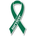 thumbnail image 1 of Green Liver Cancer Survivor Ribbon Car Decal 3.5" x 7", 1 of 3
