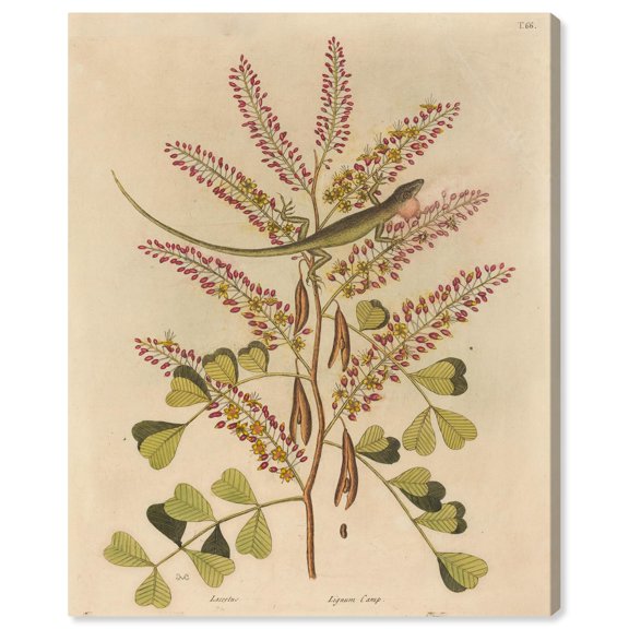 Green Lizard Canvas Vintage Botanical by Art Remedy, Gallery Wrapped, 20 x 24