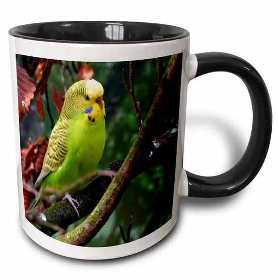 3drose, Green Lovely Budgie Bird, 15oz Two-tone Black Mug
