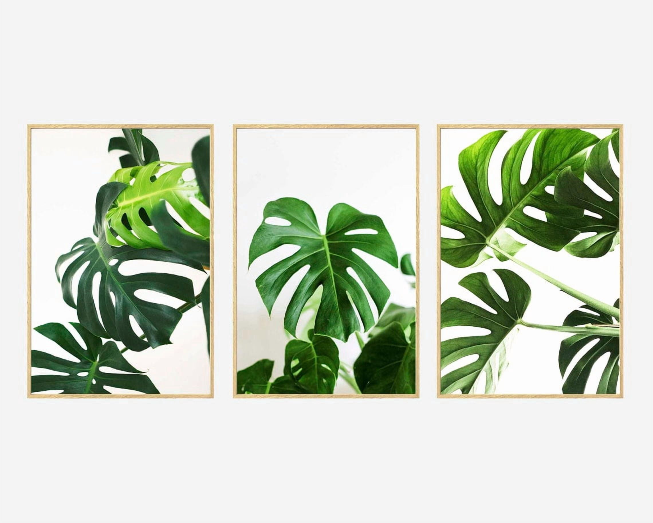 Green Monstera Palm Leaf Wall Art Print Set, Tropical Botanical Decor ...