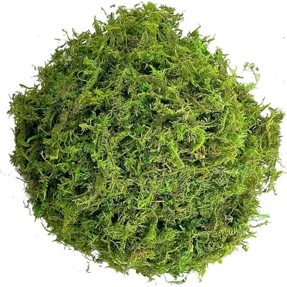 Green Moss for Crafts Artificial Moss Decorative Moss for Potted Plant Faux Orchid Moss Potting Mix Soil Peat Sphagnum Moss Pole Craft Arts Floral Wedding Decor Fairy Garden Terrariums Decoration