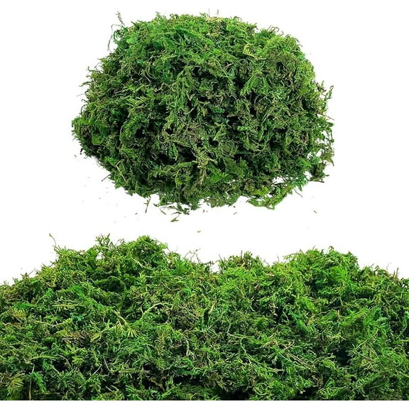 Green Moss for Crafts Artificial Moss Decorative Moss for Potted Plant Faux Orchid Moss Potting Mix Soil Peat Sphagnum Moss Pole Craft Arts Floral Wedding Decor Fairy Garden Terrariums Decoration