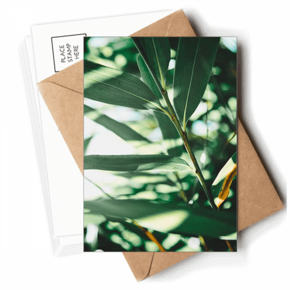 Green Nature Photo Postcards Envelopes Blank Note Cards Mailing