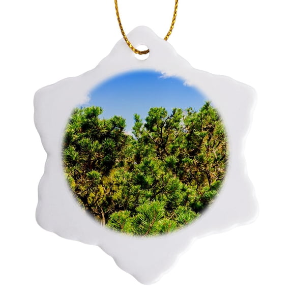 3drose, Green Needles of a Dwarf Pine Trees on a Sunny Day of Spring, 3 inch Snowflake Porcelain Ornament