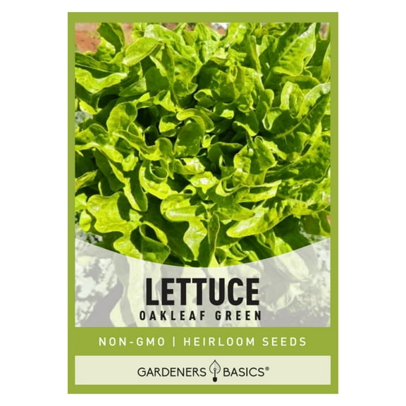 Green Oakleaf Lettuce Seeds
