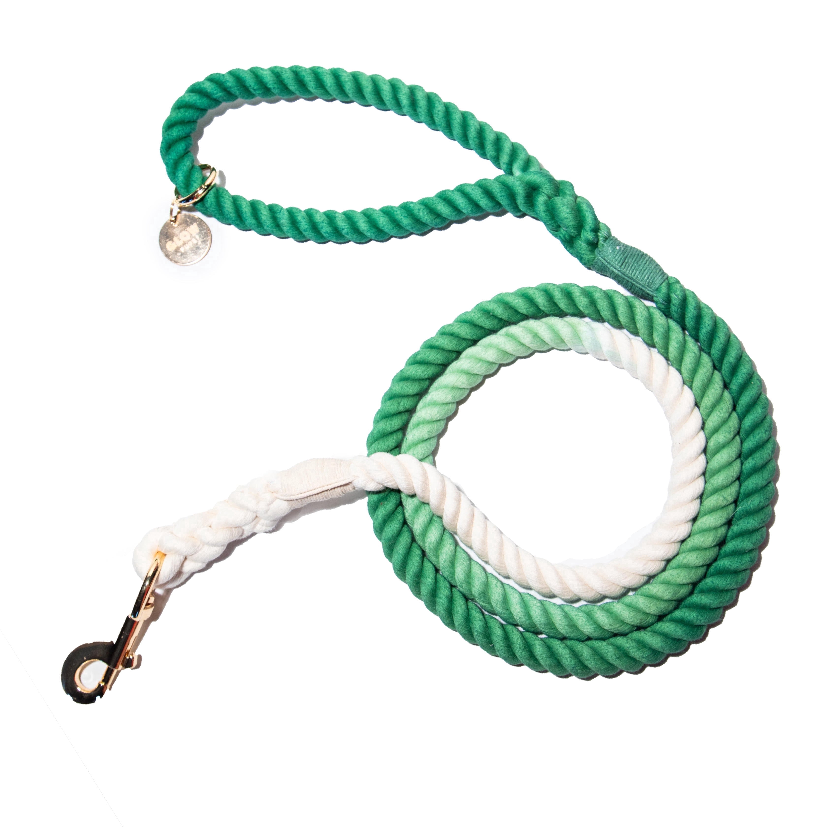 Glow Pups 5 foot Ombre Rope Dog Standard Leash, Green
