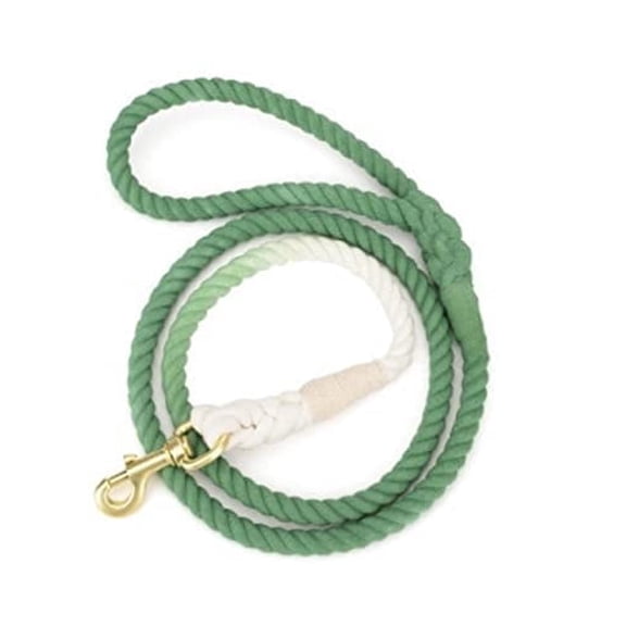 Glow Pups Boho Chic Style Dog Leash, Ombre Green