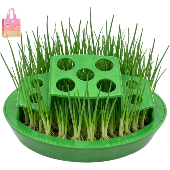 Green Onion Planter Indoor,Hydroponic Container,Onion Growing Container - for Scallion Regrow Kitchen Windowsill Counter Balcony Planting Indoor (A)