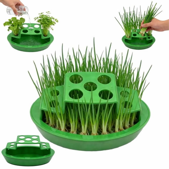 Green Onion Planter Indoor,Hydroponic Container,Onion Growing Container - for Scallion Regrow Kitchen Windowsill Counter Balcony Planting Indoor