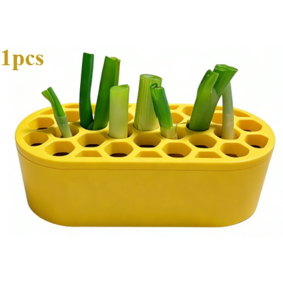 Green Onion Regrow Kit Set, Scallion Growing Kit for Indoor Planting, Compact Herb Planter for Kitchen, Windowsill & Balcony, Easy Home Gardening Kit, Multiple Colors Available