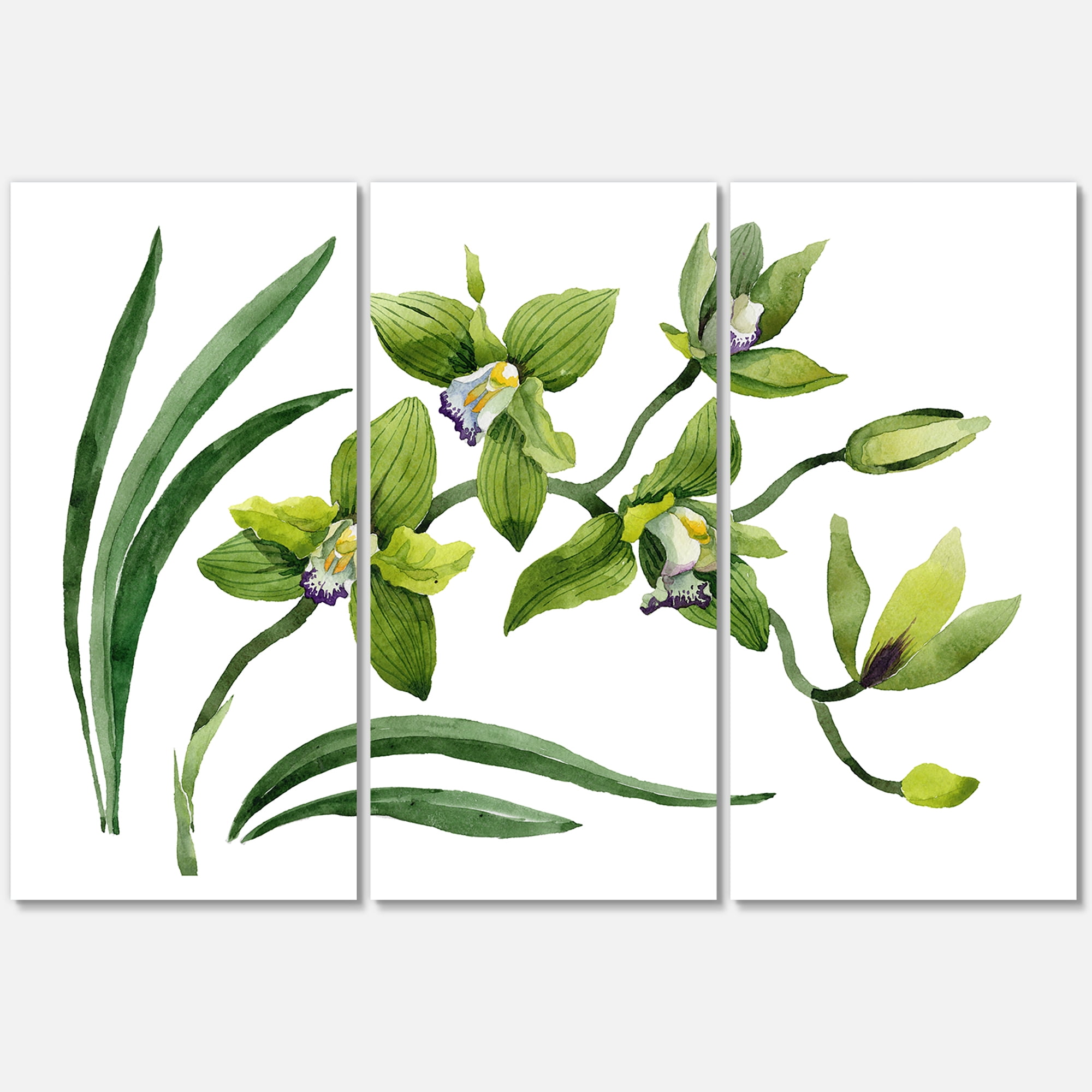 Green Orchid Flowers On White 28 in x 36 in Painting Canvas Art Print, by Designart