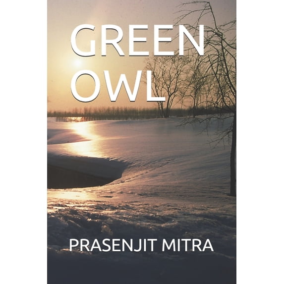 Green Owl (Paperback)