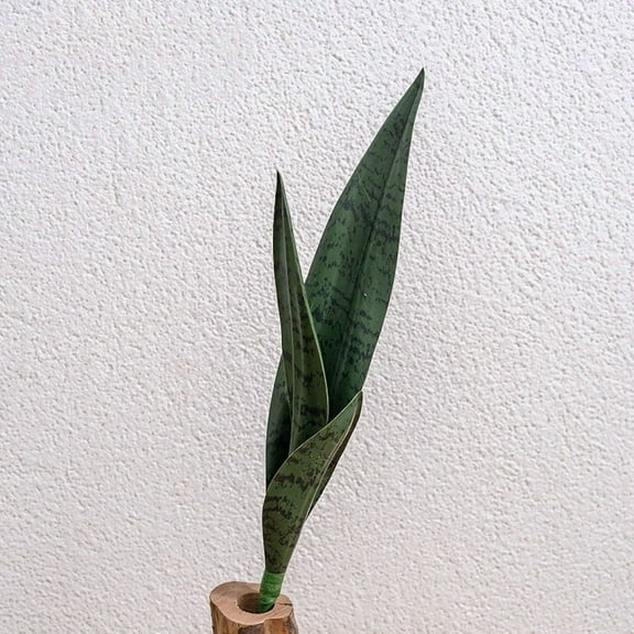 Green PVC Snake Plant Decoration for Various Indoor Spaces Without Maintenance