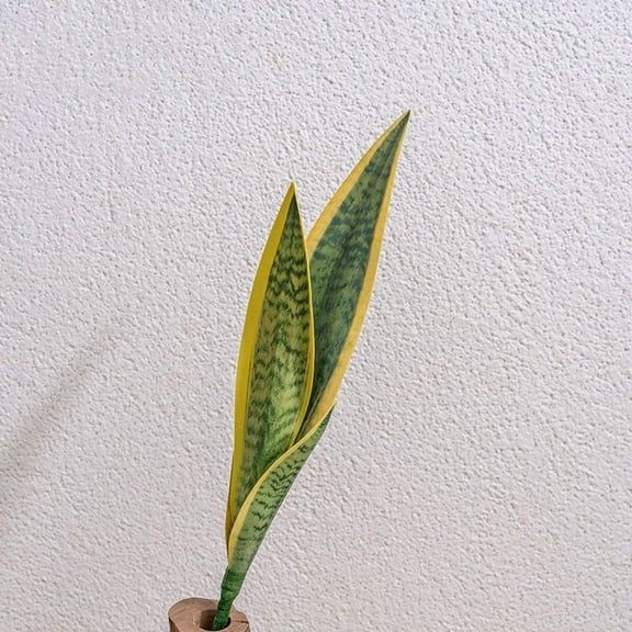 Green PVC Snake Plant Decoration for Various Indoor Spaces Without Maintenance