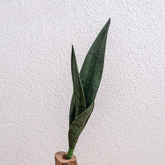 Green PVC Snake Plant Decoration for Various Indoor Spaces Without Maintenance