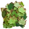 thumbnail image 1 of Green Paper Leaf Embellishment Set by Recollections, 1 of 2