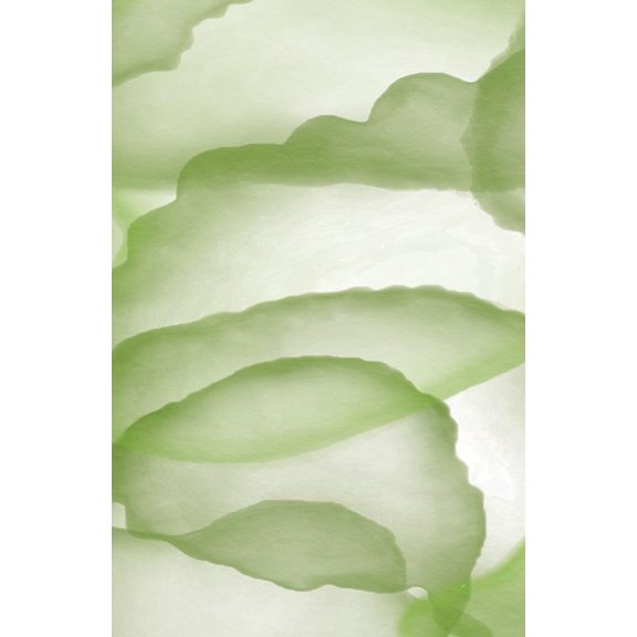 Green Paper One Poster Print - Aesthete (16 x 24)